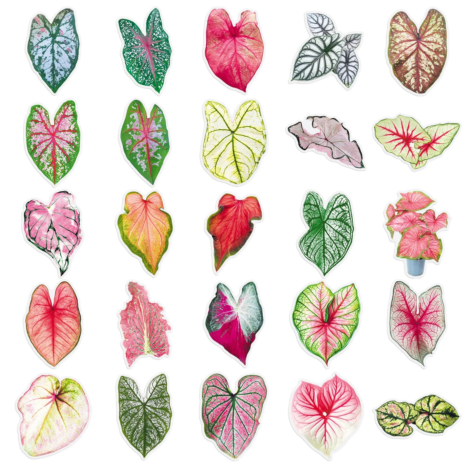 50/100PCS Colored Leaf Taro Transparent PET Stickers Colored Leaf Plant Handbag  DIY Decorative Waterproof Stickers