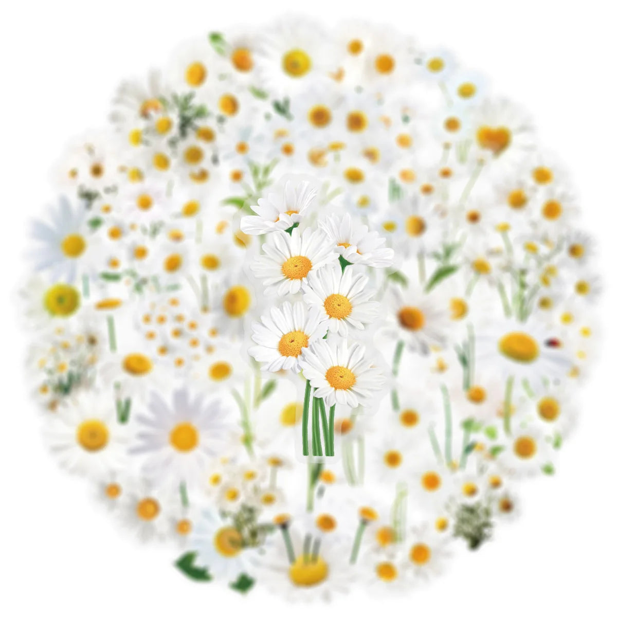 50PCS Transparent Daisy/Sunflower Stickers Decorative Guitar Notebook Waterproof PET Notebook Stationery Box Flower Stickers