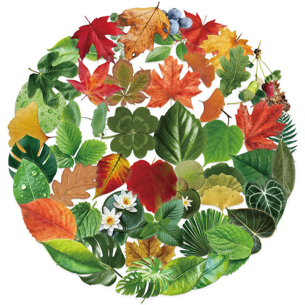 50PCS Transparent Tree Green Leaf Sticker Waterproof Decorative Guitar Notebook Children Stationery PVC Sticker