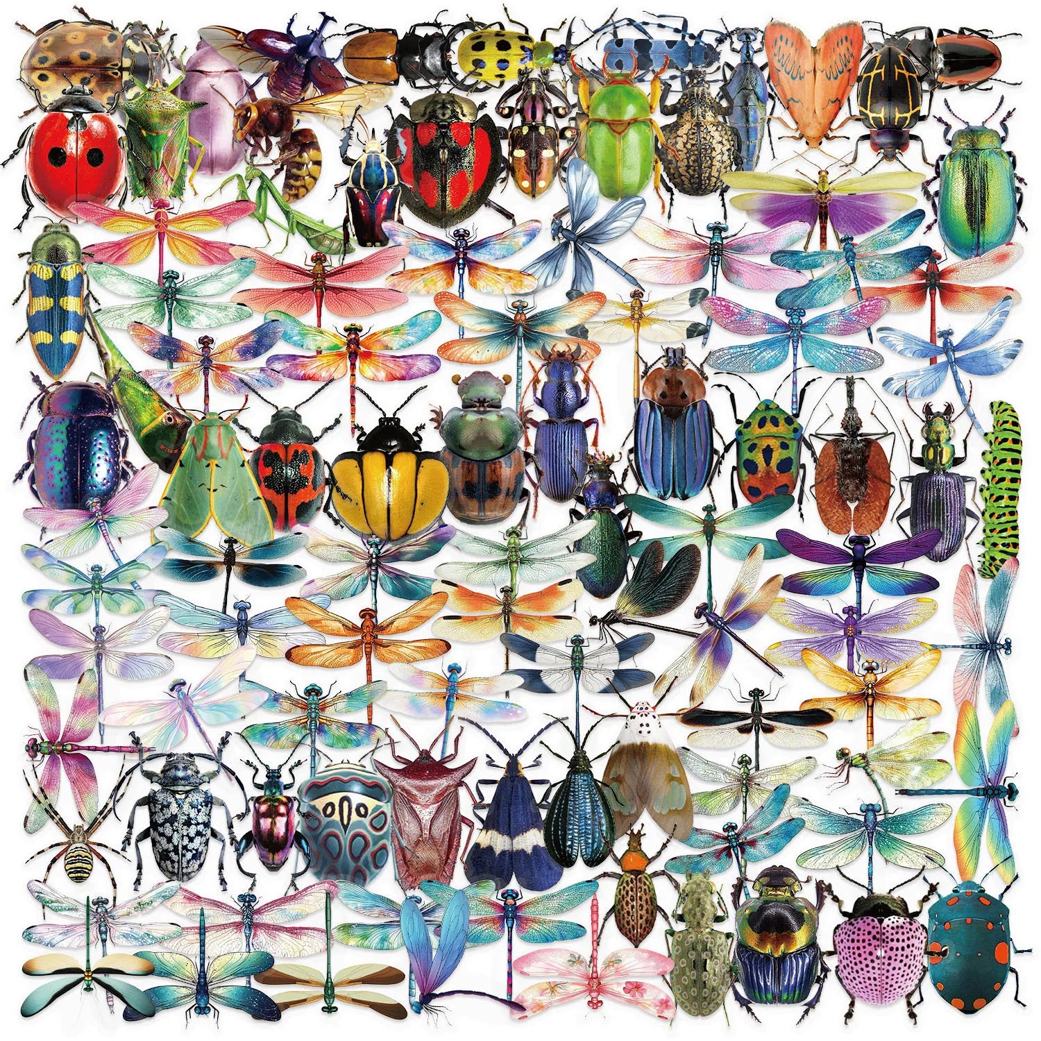 100PCS Colorful Cartoon Insect Dragonfly Stickers DIY Decoration Water Bottles Phone Children Notebook Transparent PET Sticker