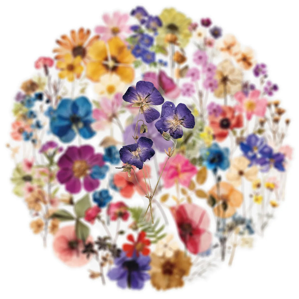 50/200PCS Transparent PET Flower Plant Material Stickers Handbooks Tablets Phone Water Cups Decor Stationary Notebook Stickers