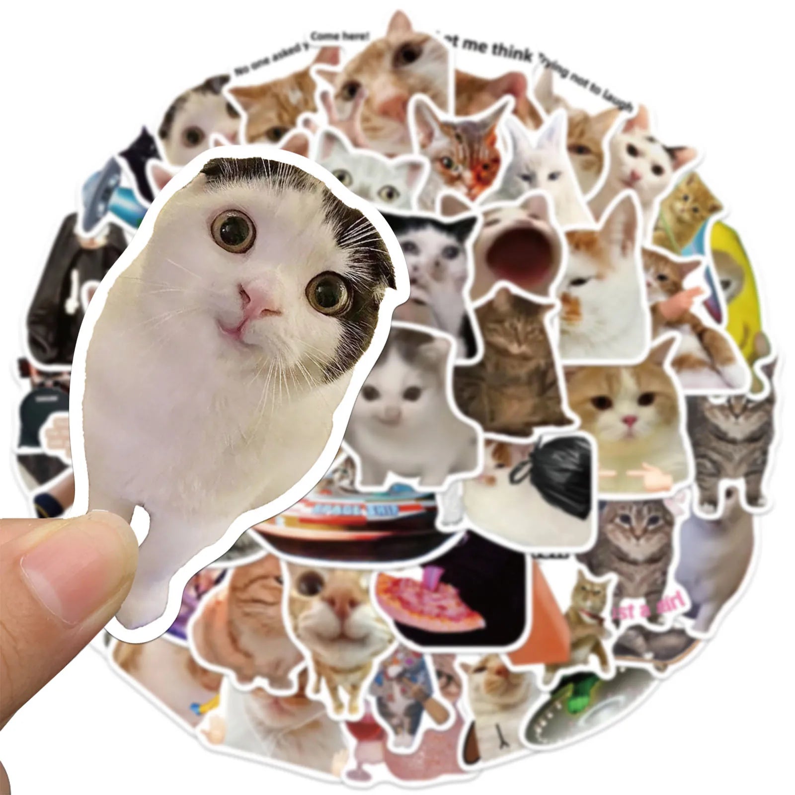50PCS Creative Network Popular Cat Meme Collection Hand Account DIY Graffiti Stickers Water Cup Skateboard Stickers Toys