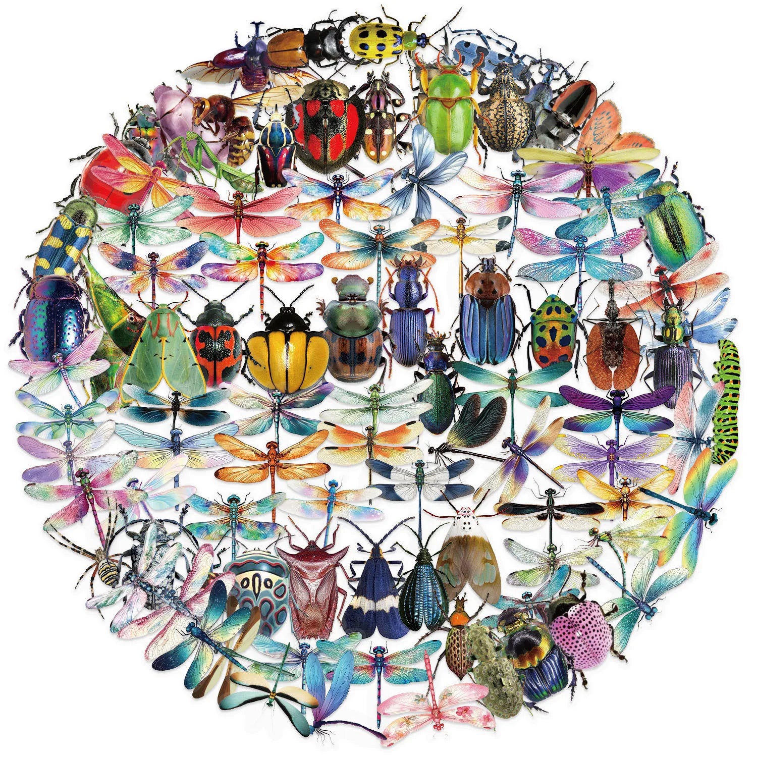 100PCS Colorful Cartoon Insect Dragonfly Stickers DIY Decoration Water Bottles Phone Children Notebook Transparent PET Sticker