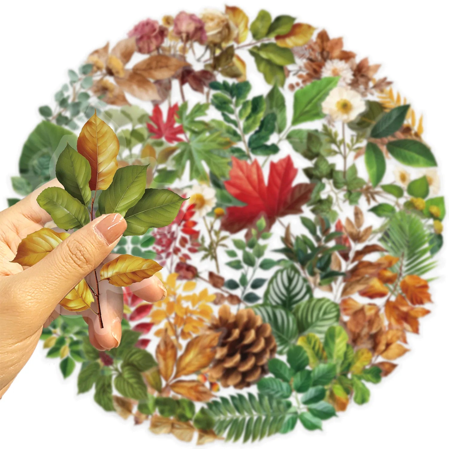 50 Pcs Transparent Cartoon Green Plant Sticker Packs, Waterproof Transparent PET Decorative Guitar Notebook Stickers