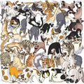 50PCS Cartoon Fierce Cat PET Sticky Sticker Aesthetic Tear Open DIY Decoration Scrapbooking Sketchbook Supplies for Kids