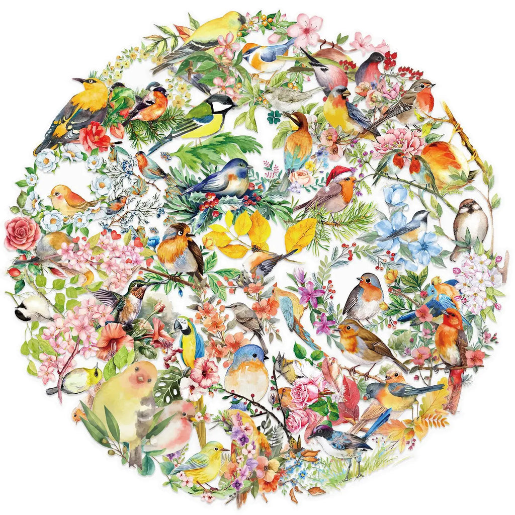 50Pcs Transparent Watercolor Bird Sticker Waterproof Transparent PET Decor Guitar Notebook Stationary Stickers