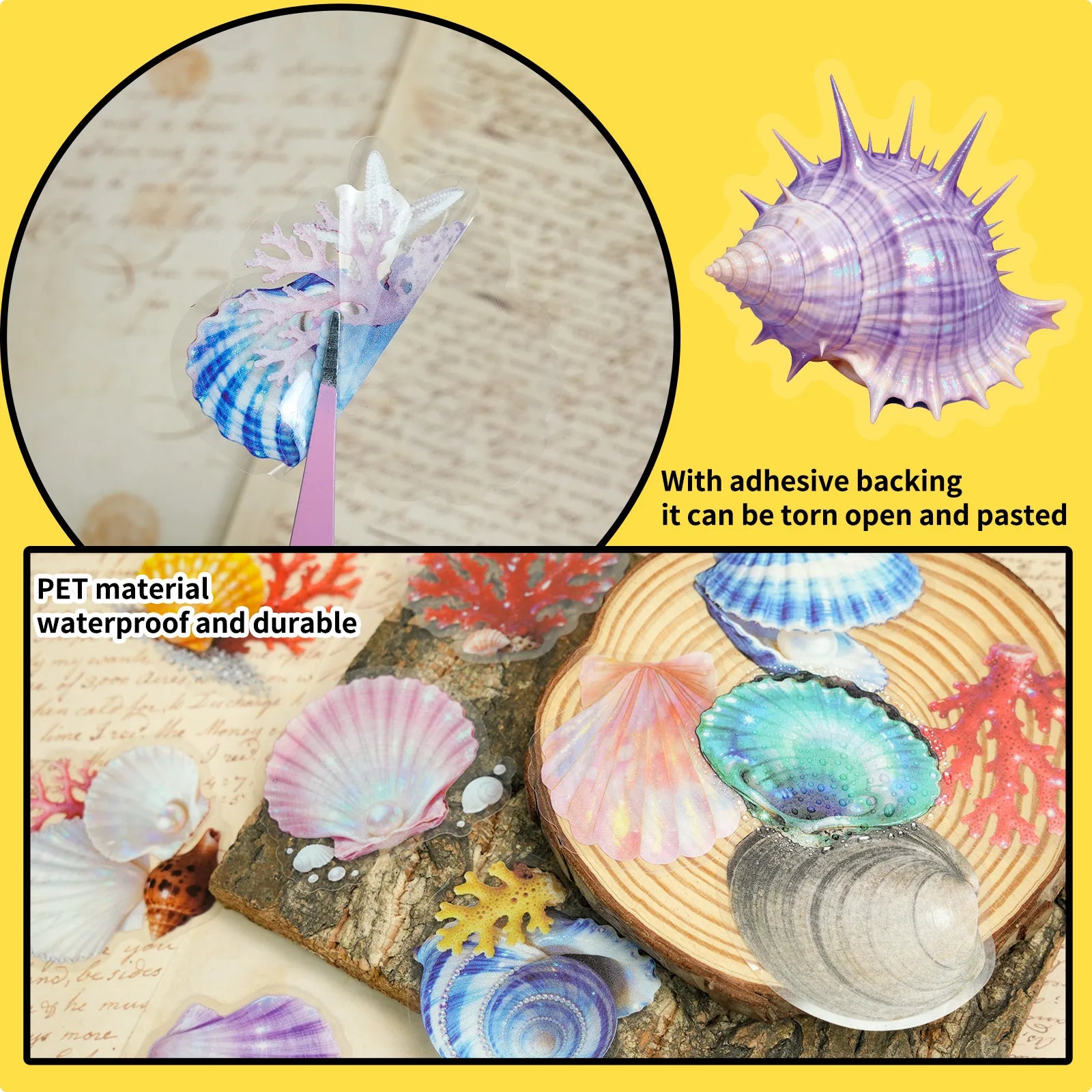 56/112 Pcs New Exquisite Sea Shell Clear PET Stickers Reward for Suitcase Helmet Fridge Stationery Box Waterproof Decals