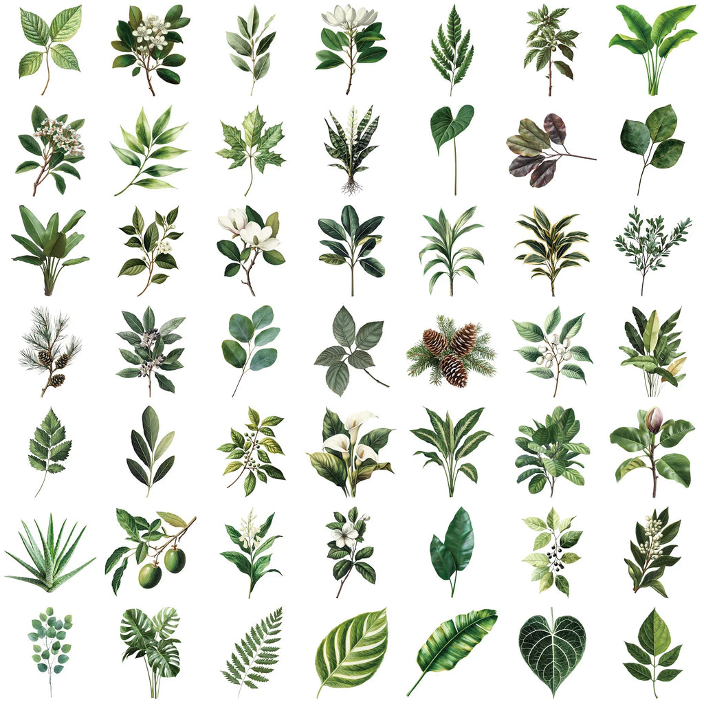 50 Pcs Cartoon Golden/Green Plant Stickers Pack, Waterproof Transparent PET Feather Scrapbook for Guitar Notebook Stationary