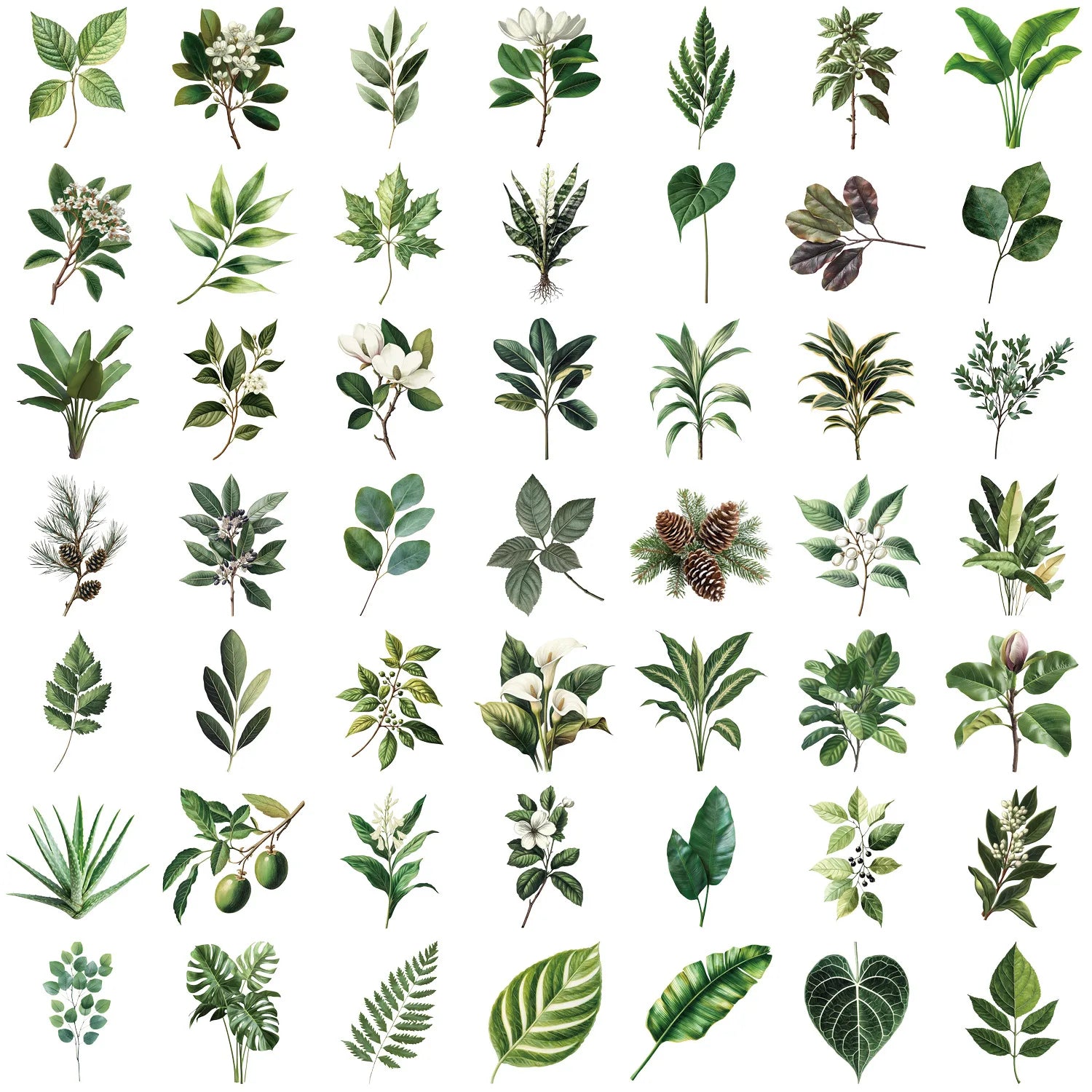 50 Pcs Cartoon Golden/Green Plant Stickers Pack, Waterproof Transparent PET Feather Scrapbook for Guitar Notebook Stationary