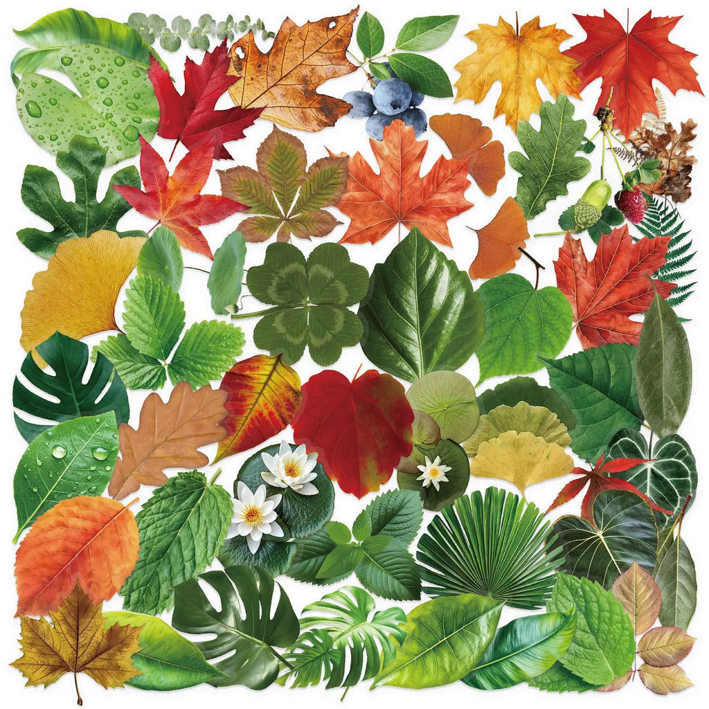 50PCS Transparent Tree Green Leaf Sticker Waterproof Decorative Guitar Notebook Children Stationery PVC Sticker