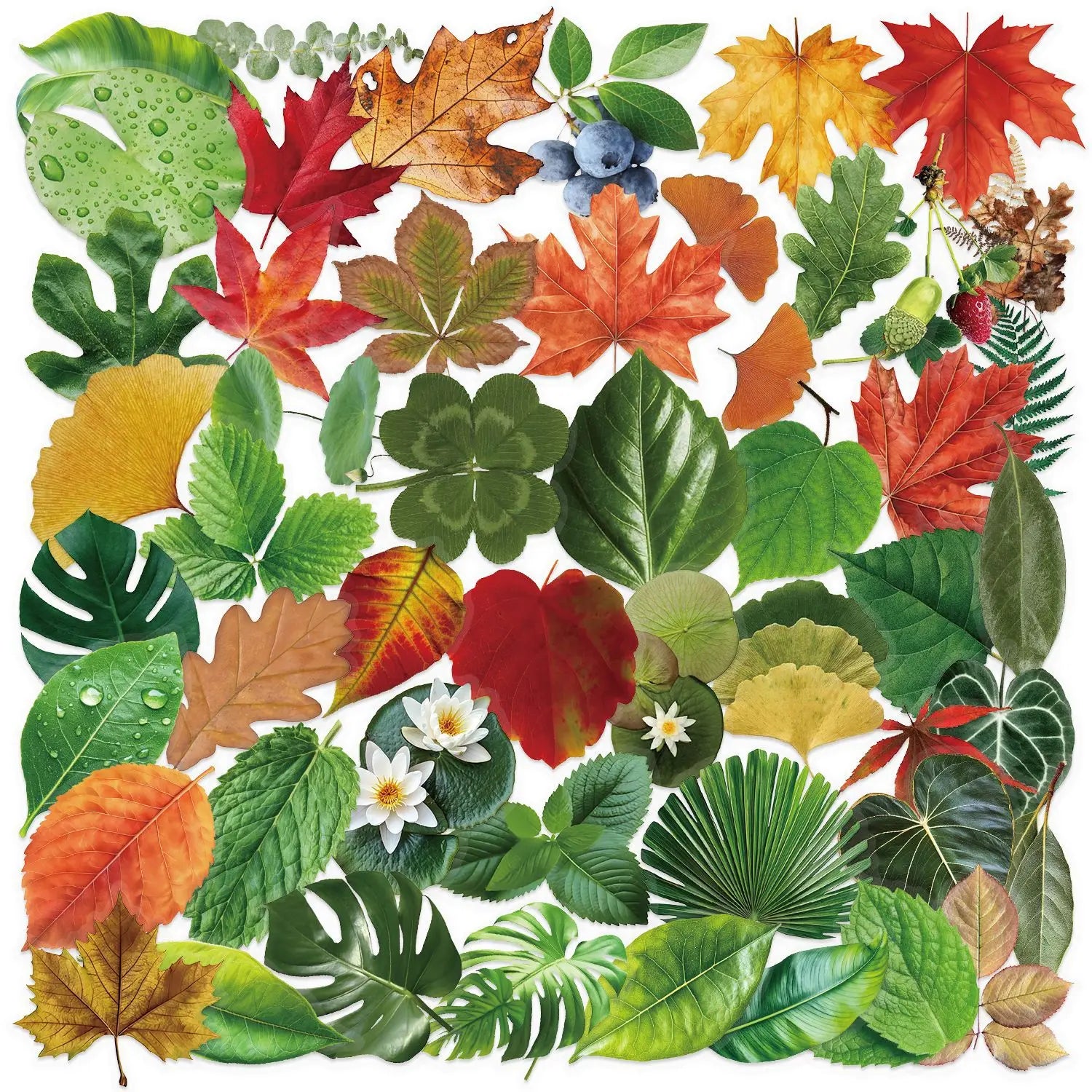 50PCS Transparent Tree Green Leaf Sticker Waterproof Decorative Guitar Notebook Children Stationery PVC Sticker