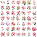 50Pcs Transparent Cartoon Dark Rose Sticker Pack Waterproof Transparent PET Bookkeeping Material Decorative Guitar Notebook