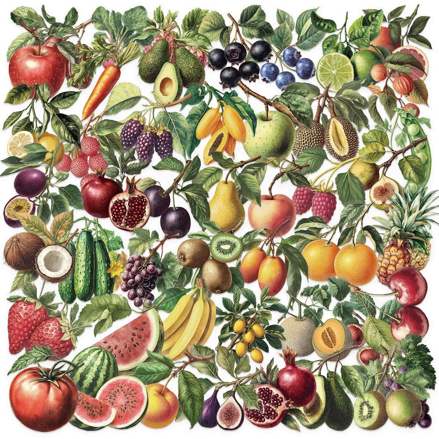 50/100PCS Transparent PET Retro Fruit Sticker Pack Waterproof Notebook Pen Holder Decoration Guitar Notebook Stationery Stickers