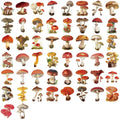 50-100PCS Cartoon Retro Mushroom Stickers Waterproof Transparent PET Decorative Guitar Notebook Stationery Stickers