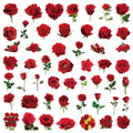 50PCS Transparent PET Red Rose Stickers Handheld Account Phone Stationery Box Gift Box Wedding Decoration PET Waterproof Sticker