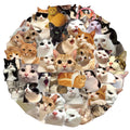50PCS Cute and Funny Cat Stickers DIY Phone Cases Laptop Refrigerator Stickers Desktop Stickers Waterproof Toy Stickers