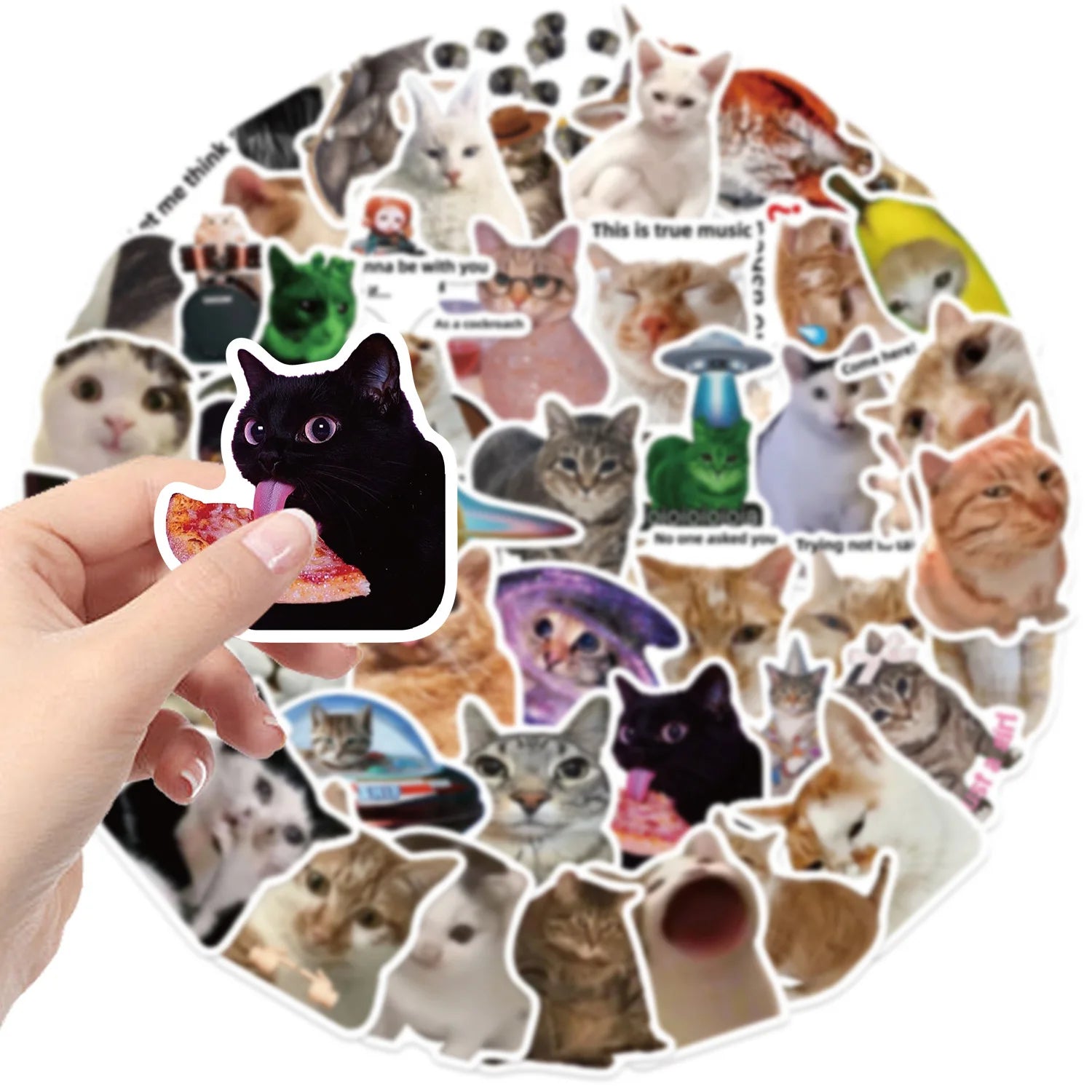 50Pcs Creative Network Popular Cat Meme Collection Hand Account DIY Graffiti Stickers Water Cup Skateboard Stickers
