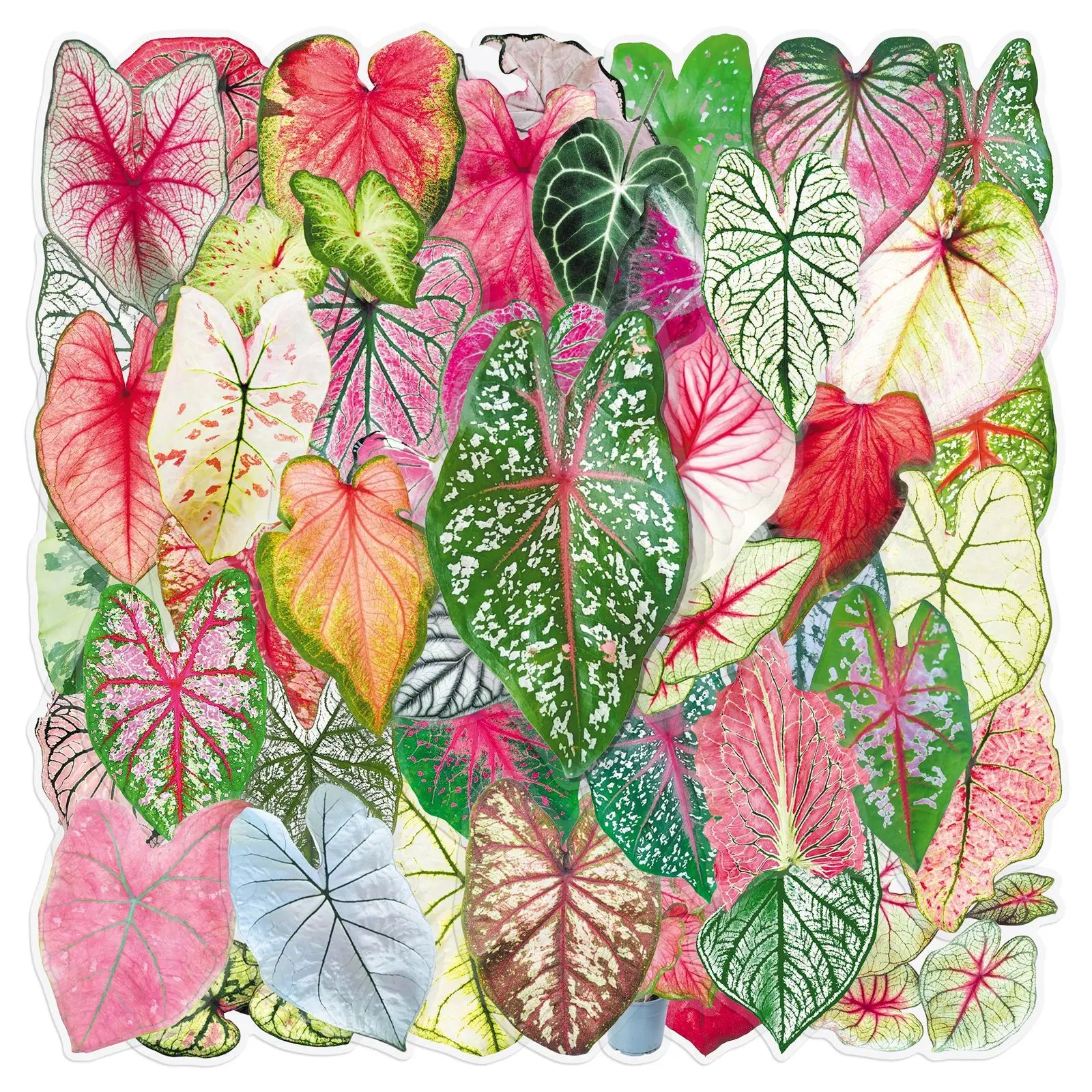 50-Pack Colored Leaf Plant Clear PET Plastic Stickers for Phones Tablets Guitars Helmet Luggage Notebook DIY Decoration