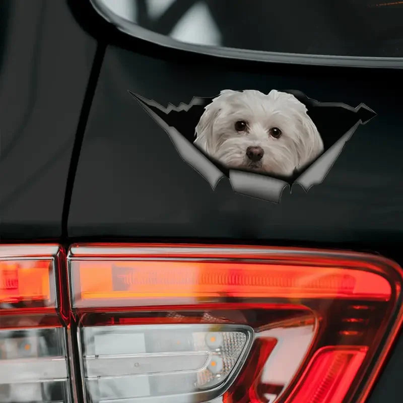 Cute Maltese Car Sticker Pet Dog Car Decoration Decal Reflective Sticker Waterproof Car Decal