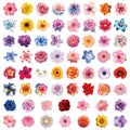 63/126PCS Transparent PET Flower Personalized Graffiti Stickers for Luggage, Water Cups, Scooter Stickers