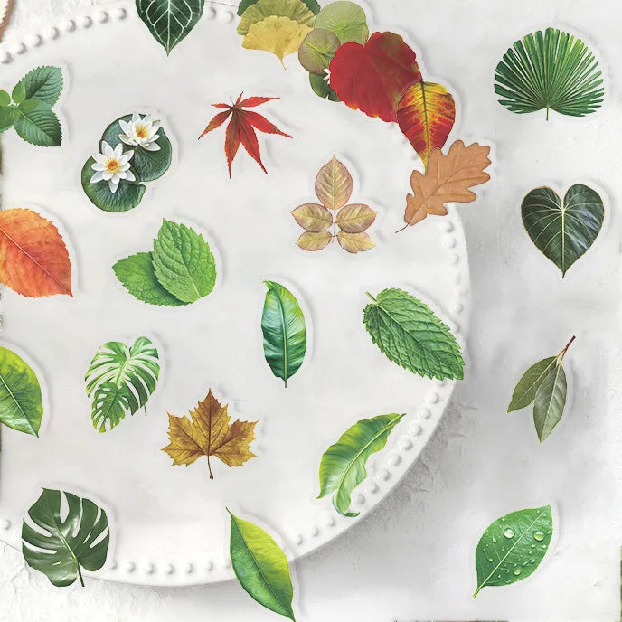 50PCS Transparent Tree Green Leaf Sticker Waterproof Decorative Guitar Notebook Children Stationery PVC Sticker