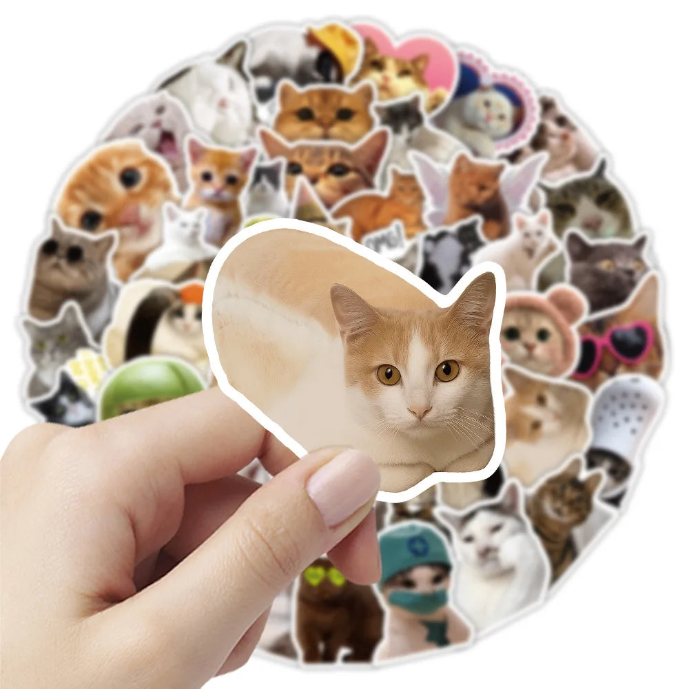 50/100PCS Funny Cat Stickers Cute Animal Decoration Computers Mobile Phone Rewards Stationery Notebook Stickers
