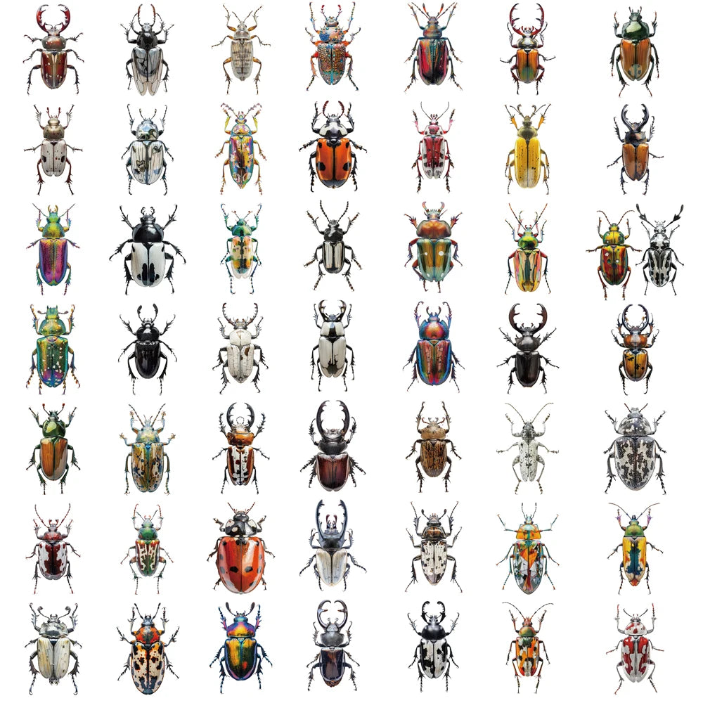 50PCS Beetle Stickers Motorcycle Laptop Luggage Art Picture Notebook Phone Graffiti Car Waterproof Home Decoration Stickers