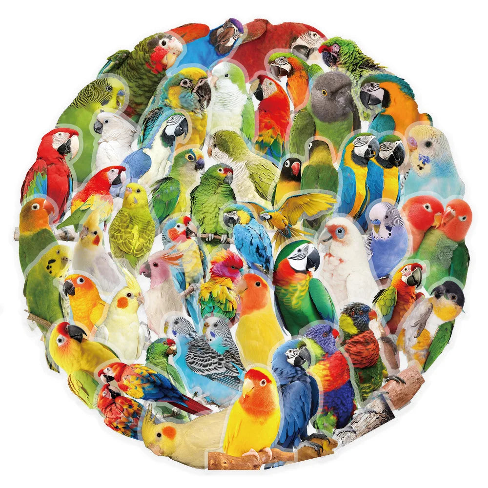 50-Pack Colorful Parrot Doodle PET Transparent Stickers Supplies Notebooks Luggage Waterproof Decorative Stickers