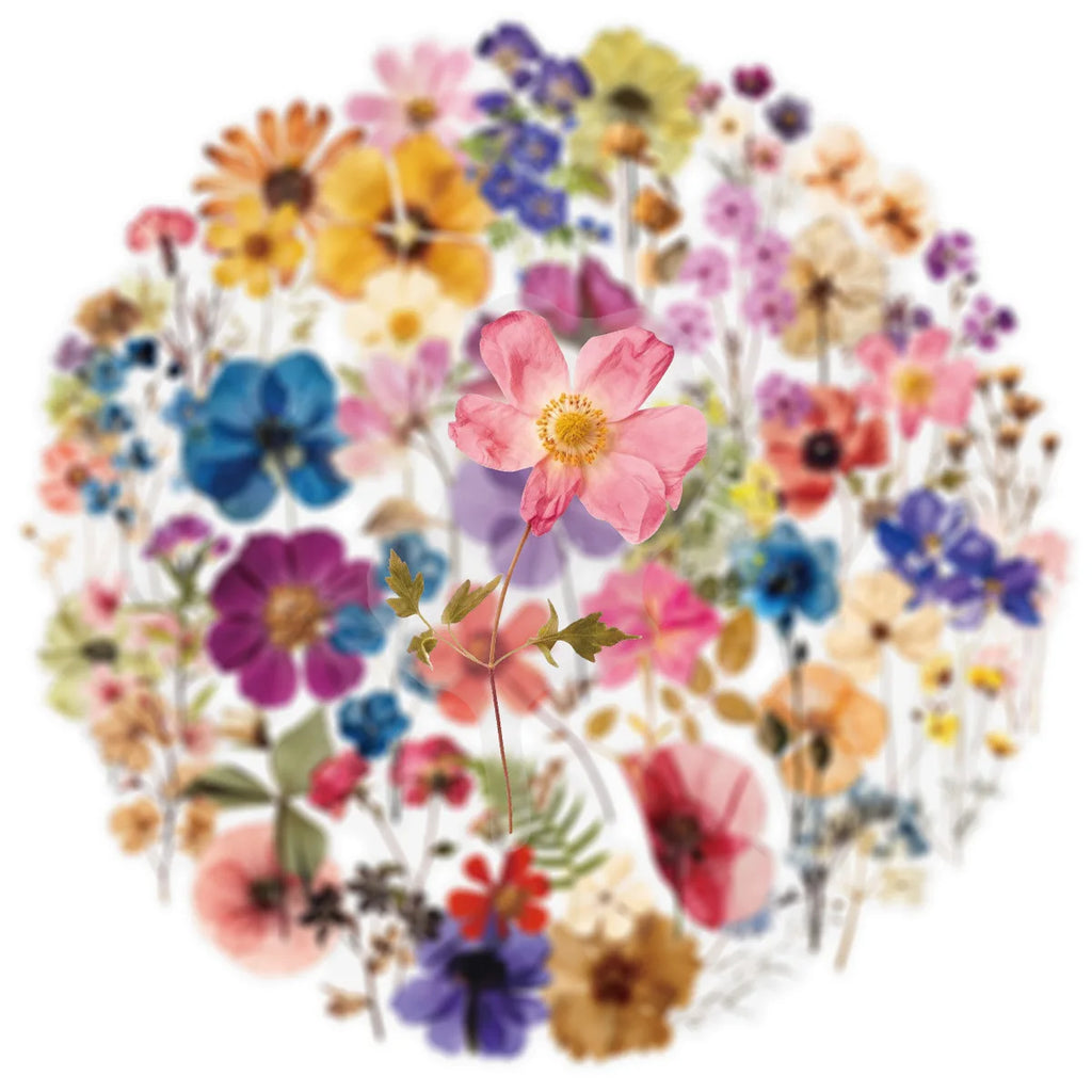 50/200PCS Transparent PET Flower Plant Material Stickers Handbooks Tablets Phone Water Cups Decor Stationary Notebook Stickers
