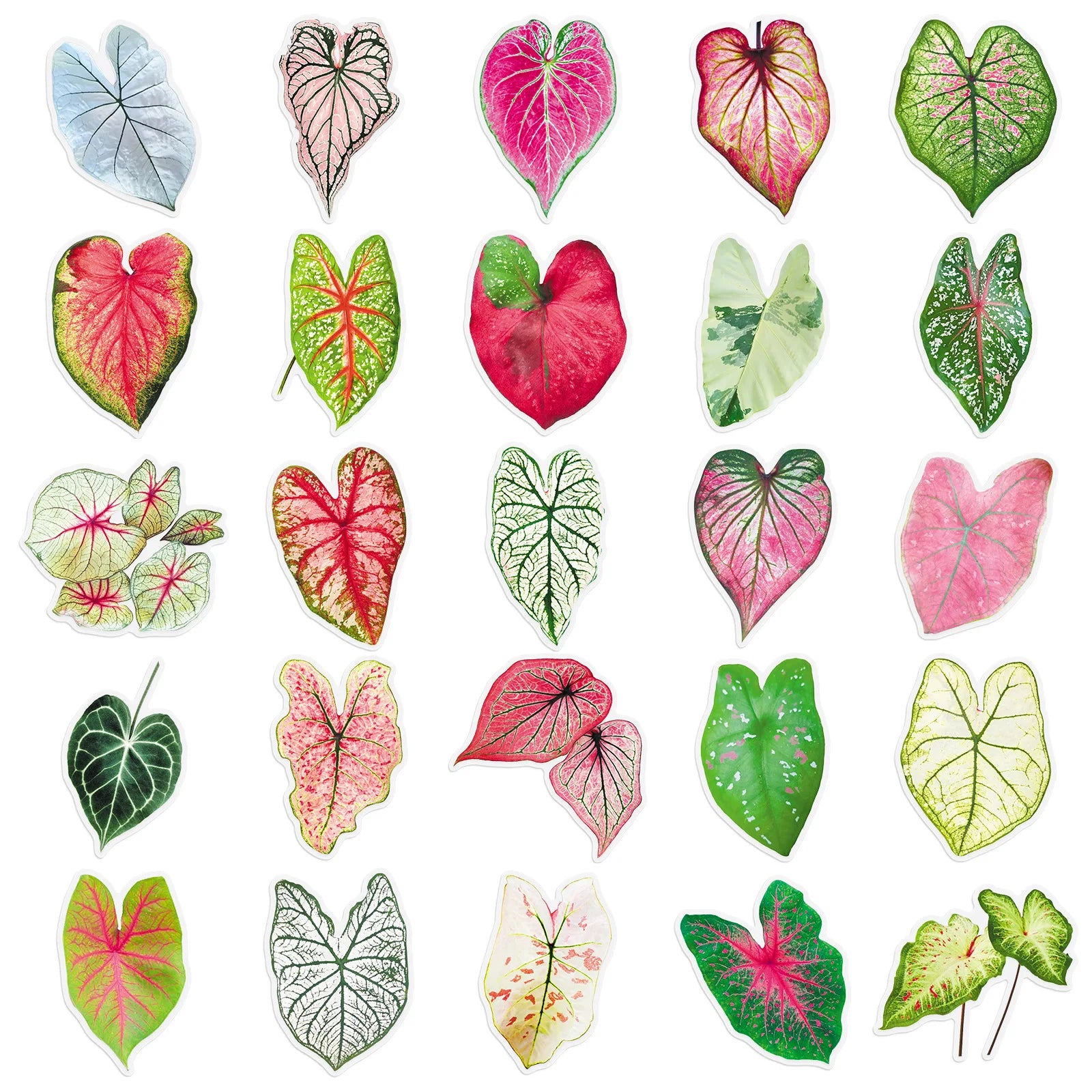 50/100PCS Colored Leaf Taro Transparent PET Stickers Colored Leaf Plant Handbag  DIY Decorative Waterproof Stickers