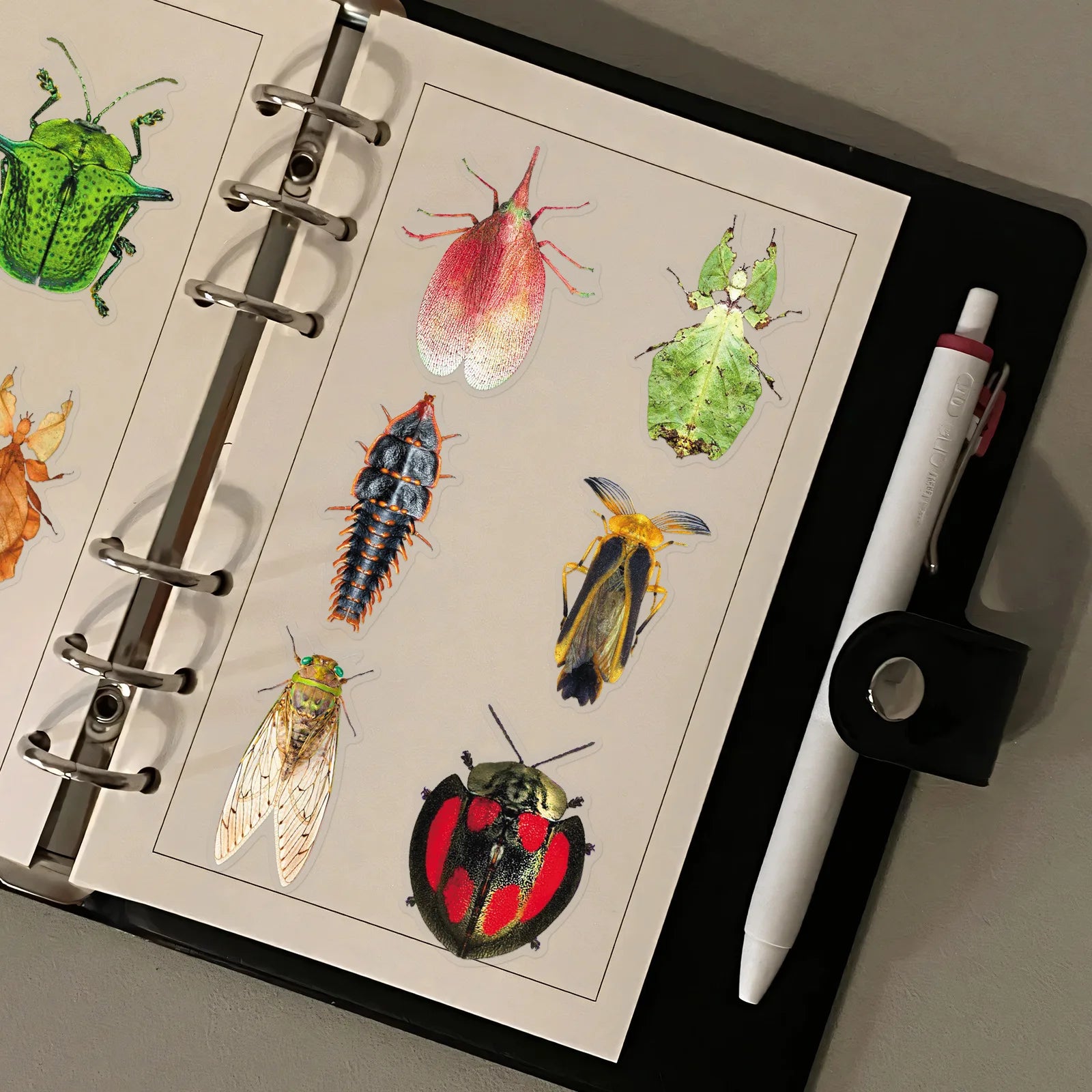 50PCS Insect Transparent Stickers, Cartoon Animal Unique Waterproof PET Student Stationery Notebook Journal DIY Art Stickers