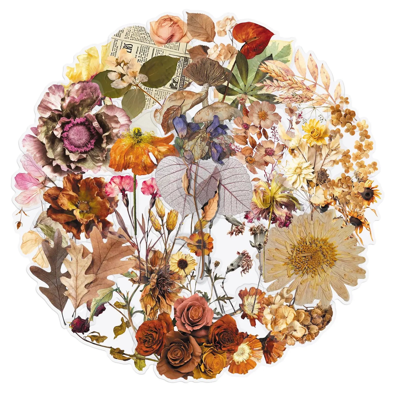 50/100PCS Cartoon Plant Transparent Stickers Forest Flower Specimen Realistic Flower Tent Decoration PET Waterproof Stickers