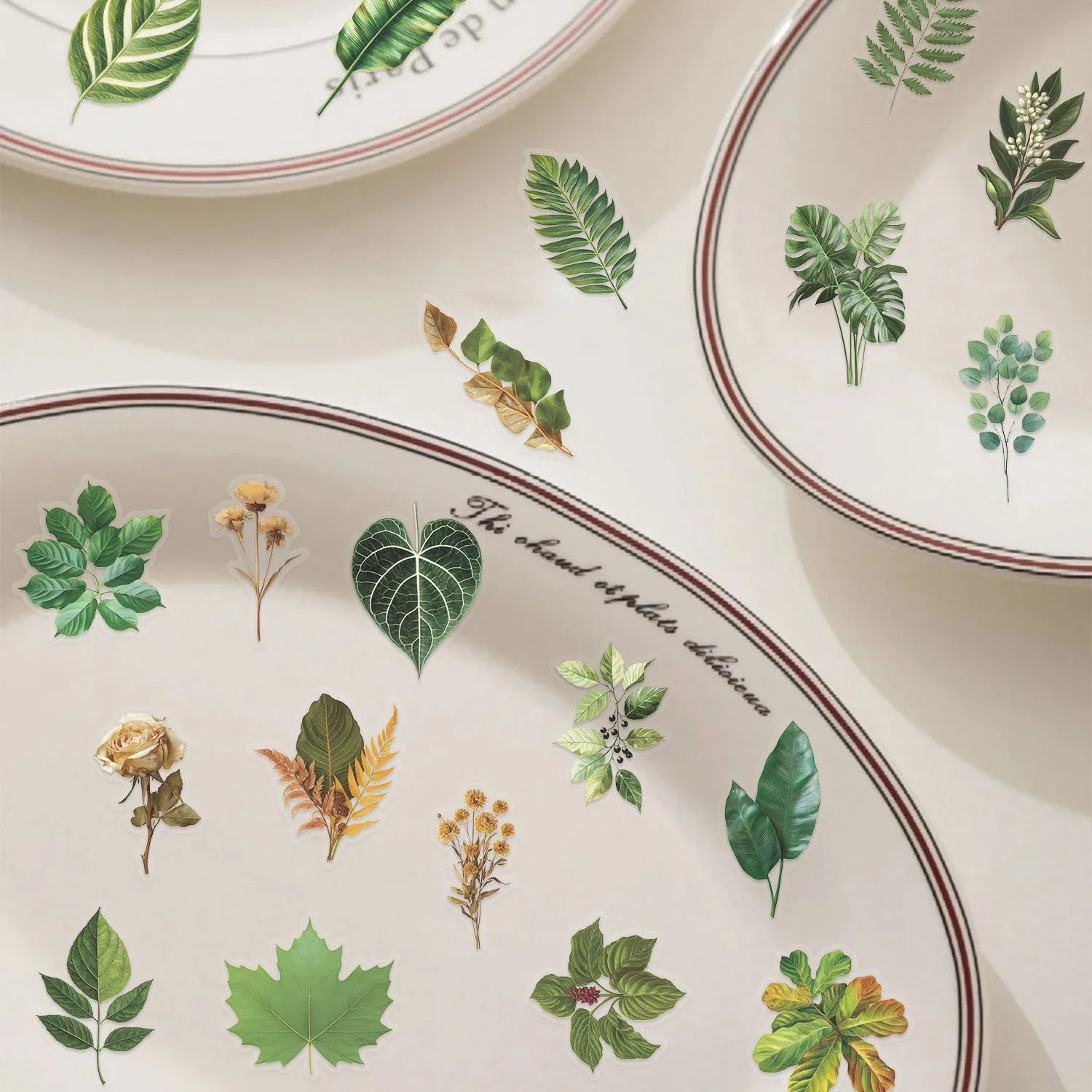 100PCS Green Plant Leaf Stickers Green Plant DIY Decor Phone Guitar Stationery Box Notebook Pen Holder Transparent PET Stickers