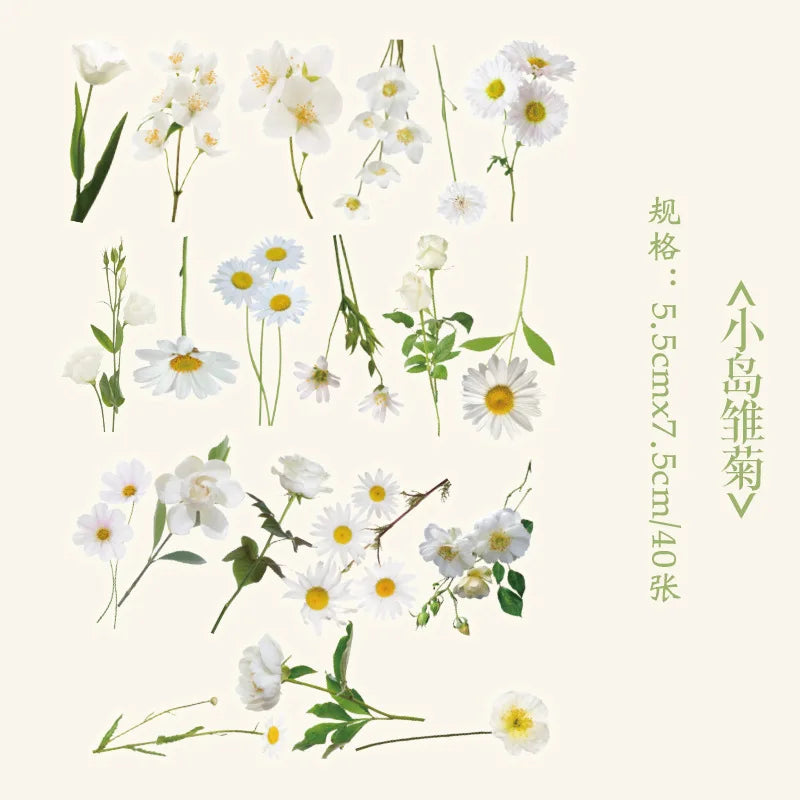40pcs/pack PET Flowers Stickers Plant Stickers Daisy Decor Stationery for Junk Journal DIY Scrapbooking Label Stickers