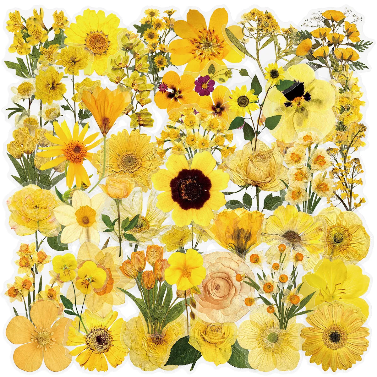 50/100PCS Transparent PET Yellow Flower Stickers Notebook Luggage Phone Waterproof Stickers