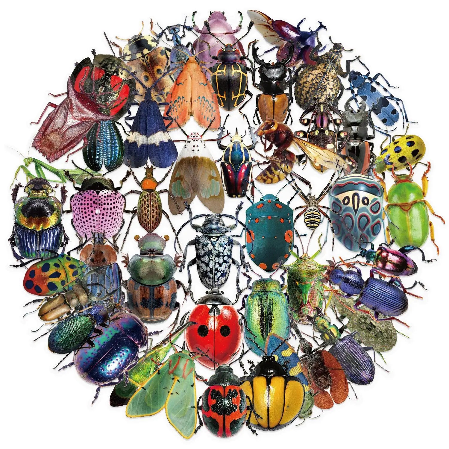 50pcs Cartoon Cute Cartoon Insect Beetle Stickers PET for Toy DIY Luggage Laptop Guitar Skateboard Phone Case Bike Car Sticker